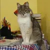 Отзыв от Нелли Бычкова